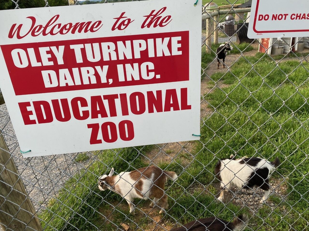Oley Turnpike Dairy